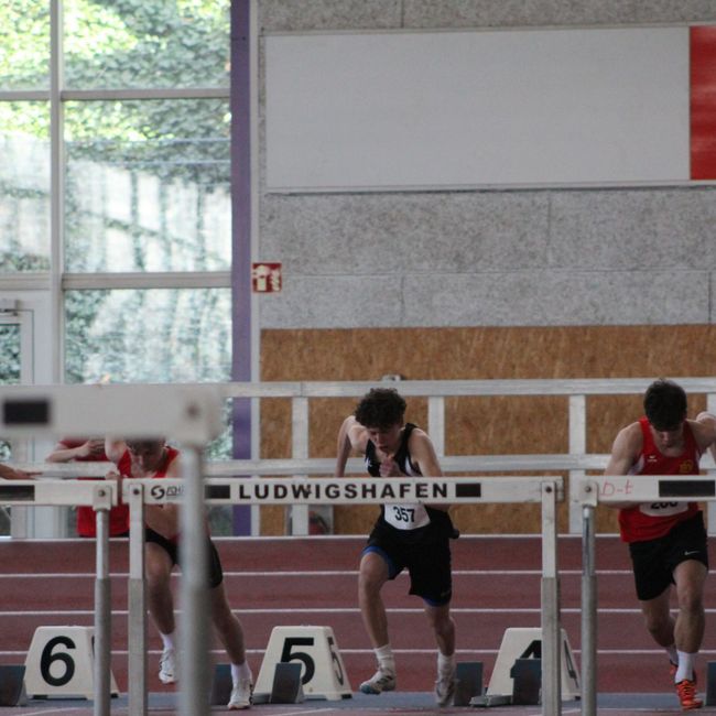Bildergalerie Bildergalerie