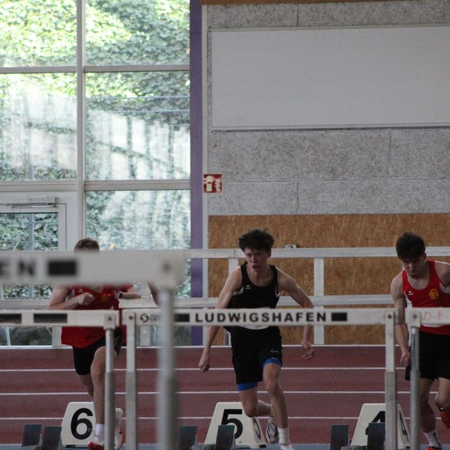 Bildergalerie Bildergalerie