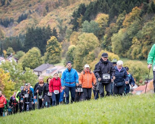 Ausbildung zum Nordic Walking Instructor